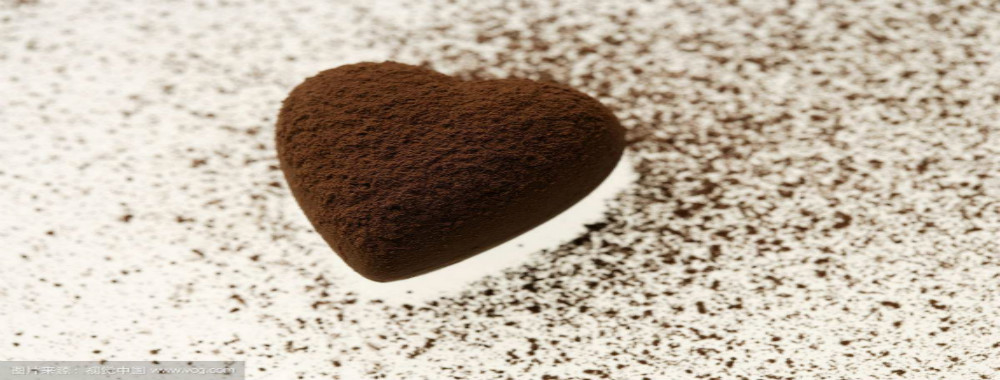 qualité Poudre de cacao alcalisée Un service