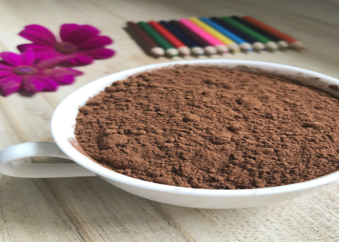 Poudre de cacao HALAL alcalisée par IS022000 de FEISIDE avec la protéine et l'hydrate de carbone riches