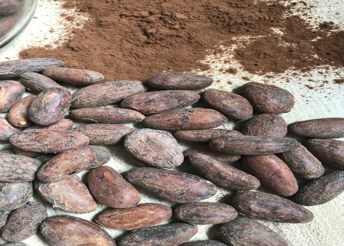 Le beurre de cacao unique de catégorie comestible de graisse, le beurre de cacao organique pur pour la cuisson